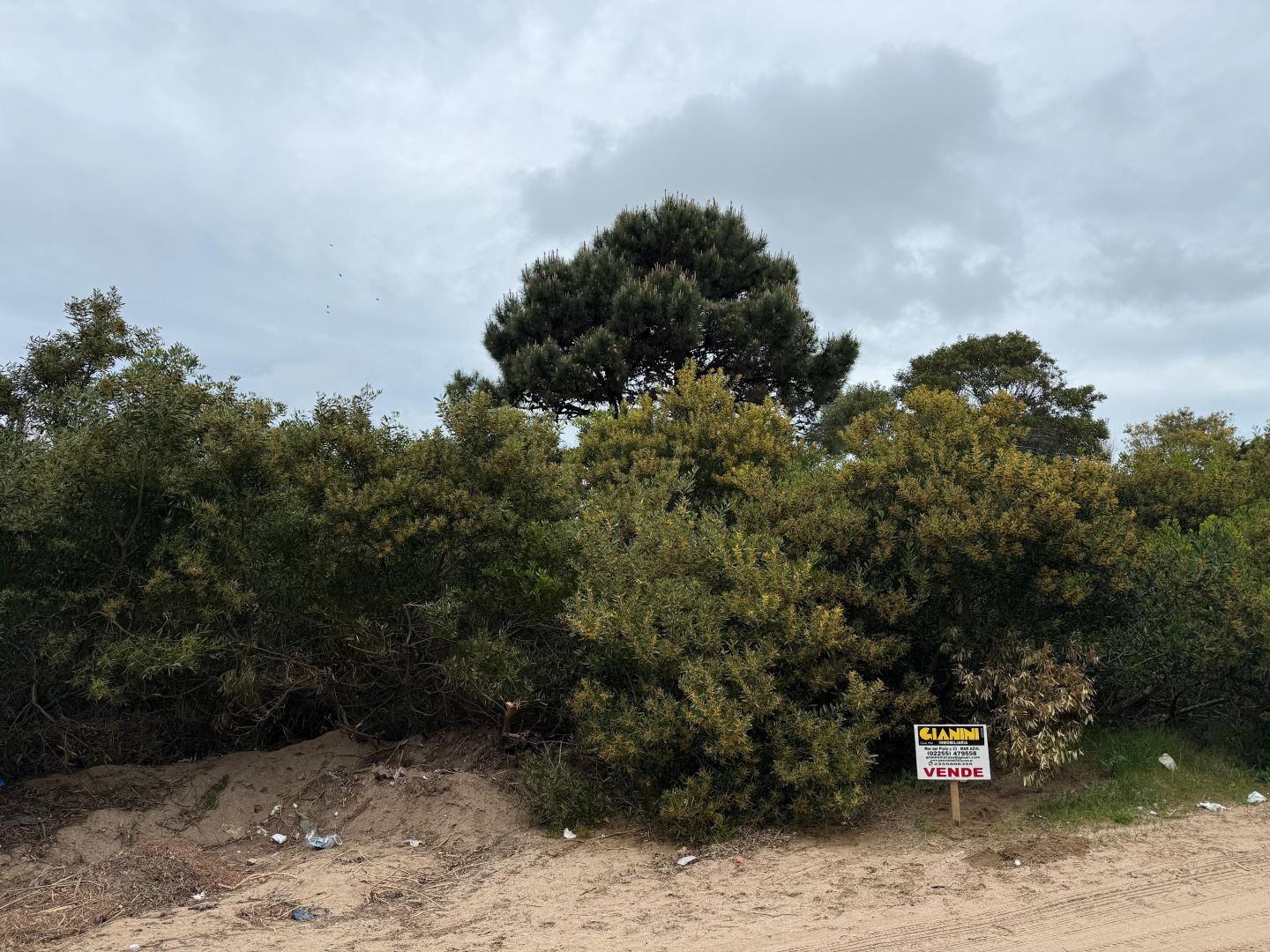 Lote en venta 