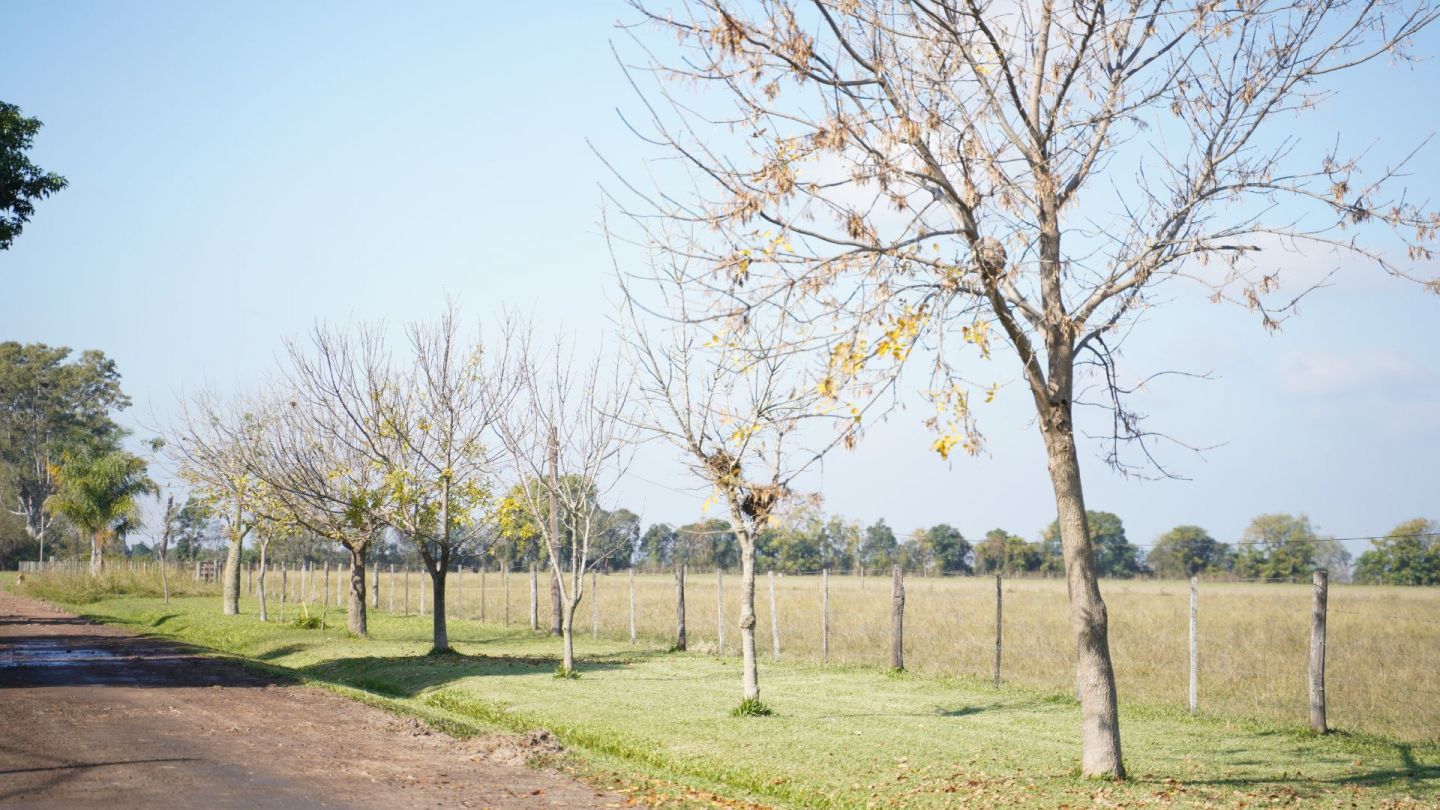 Terreno en Esperanza · foto 10