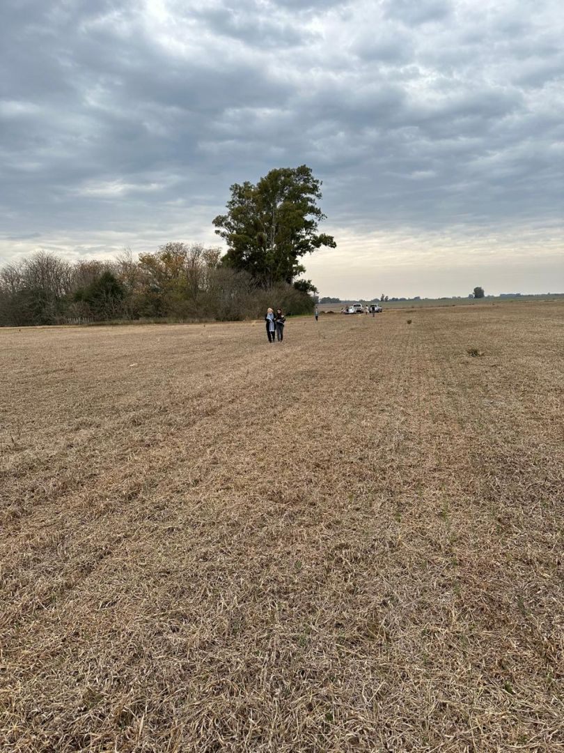 Campo en Venta en Arrecifes, Buenos Aires Interior