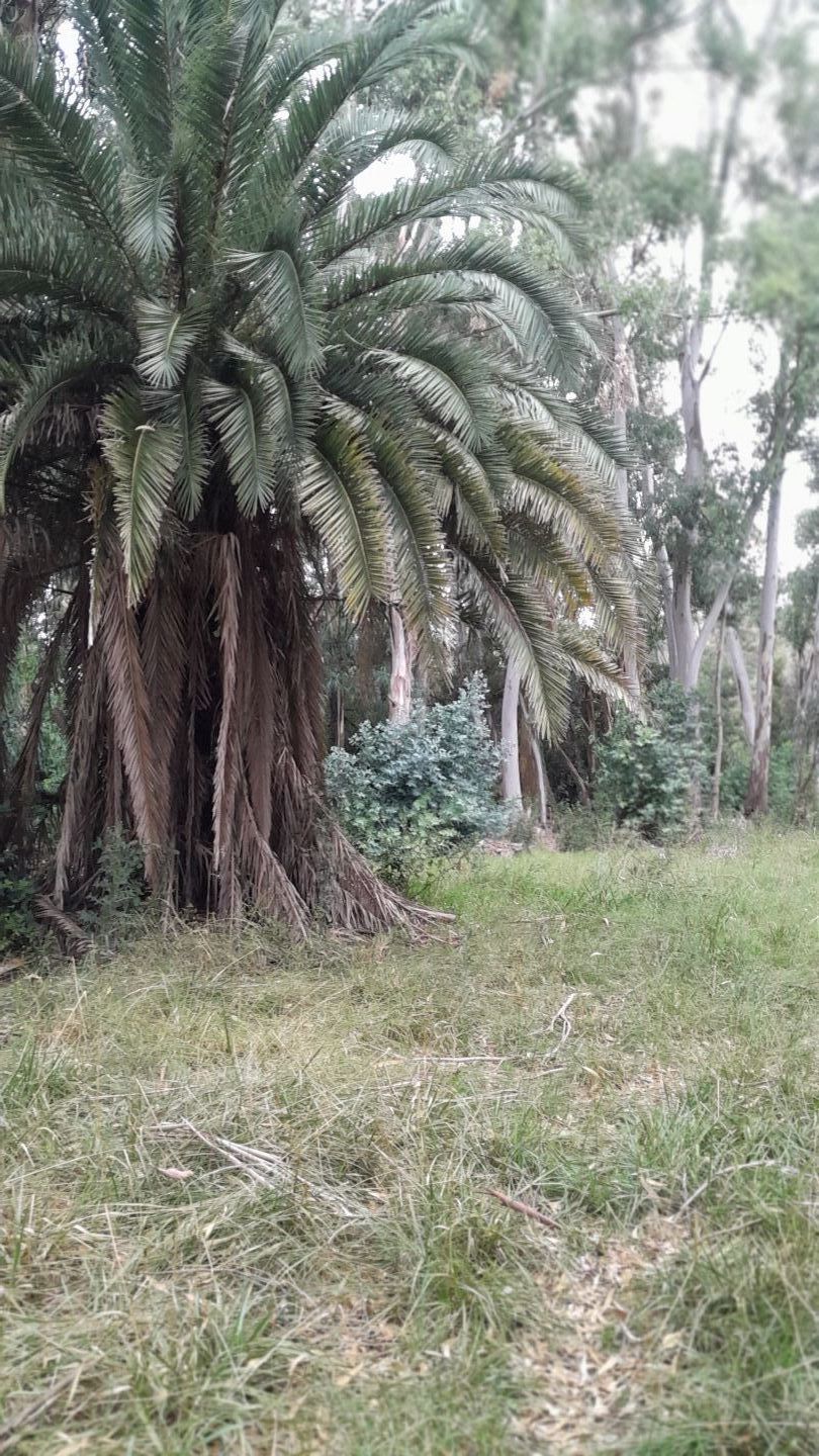 Lote EN VENTA