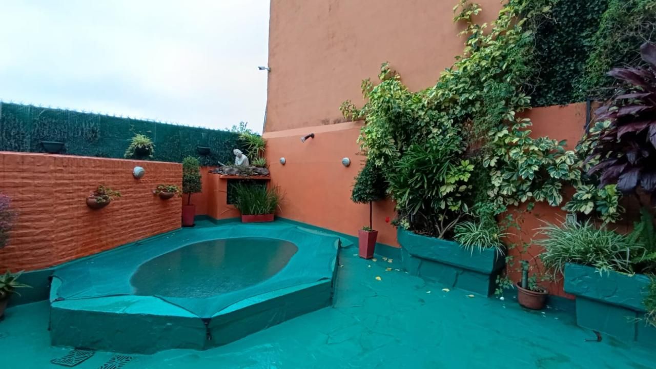 Imagen 16