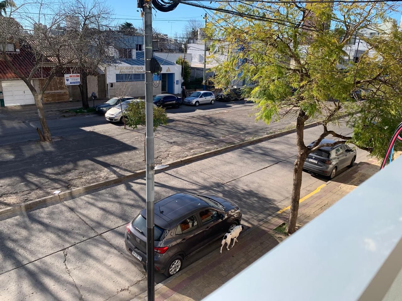 Departamento en Alquiler en La Plata, G.B.A. Zona Sur