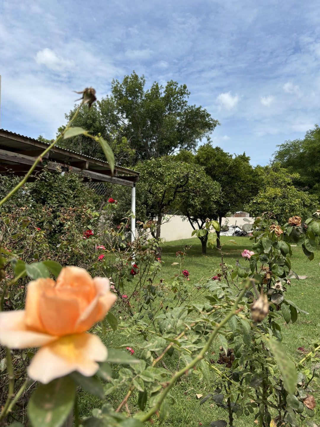 VENTA DE CASA EN Bragado - Mechita - 38