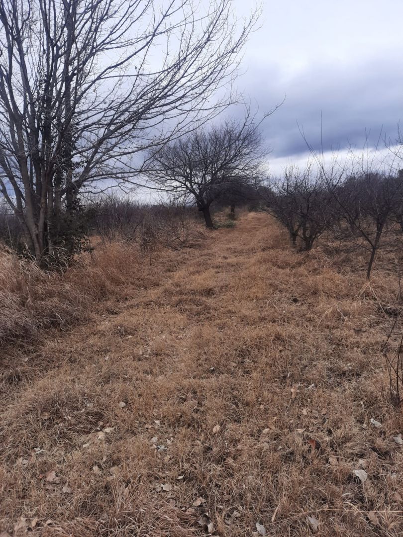 Campo en Venta en Junin, Buenos Aires Interior
