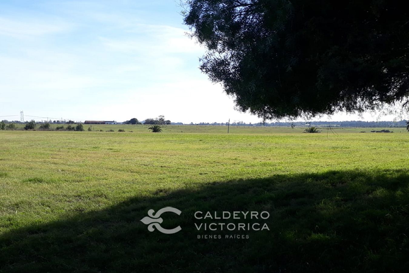Campo EN VENTA