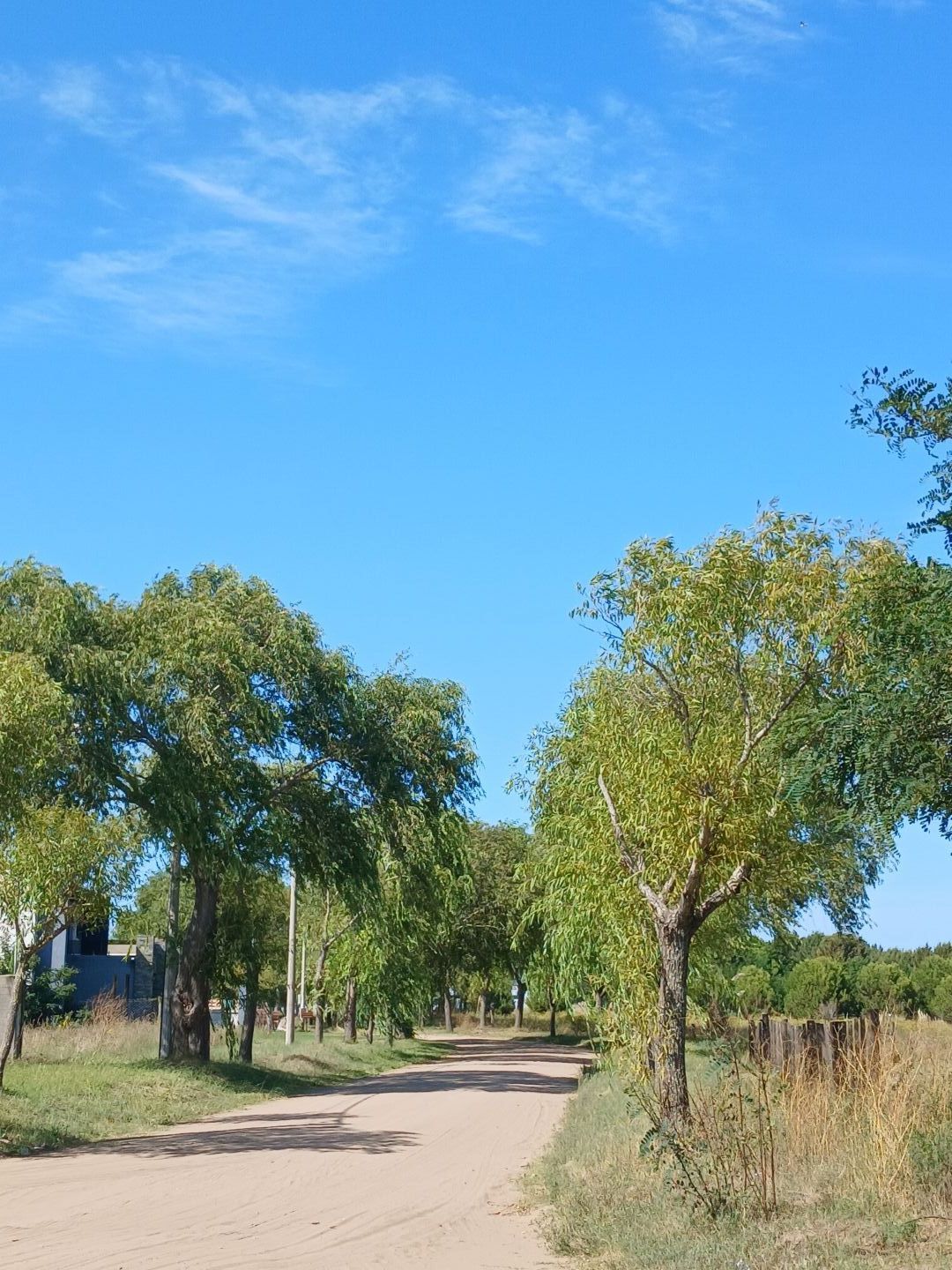 Lote EN VENTA