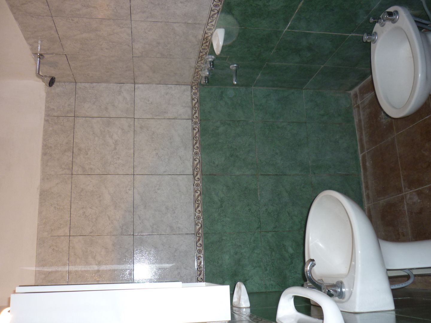 Imagen 5