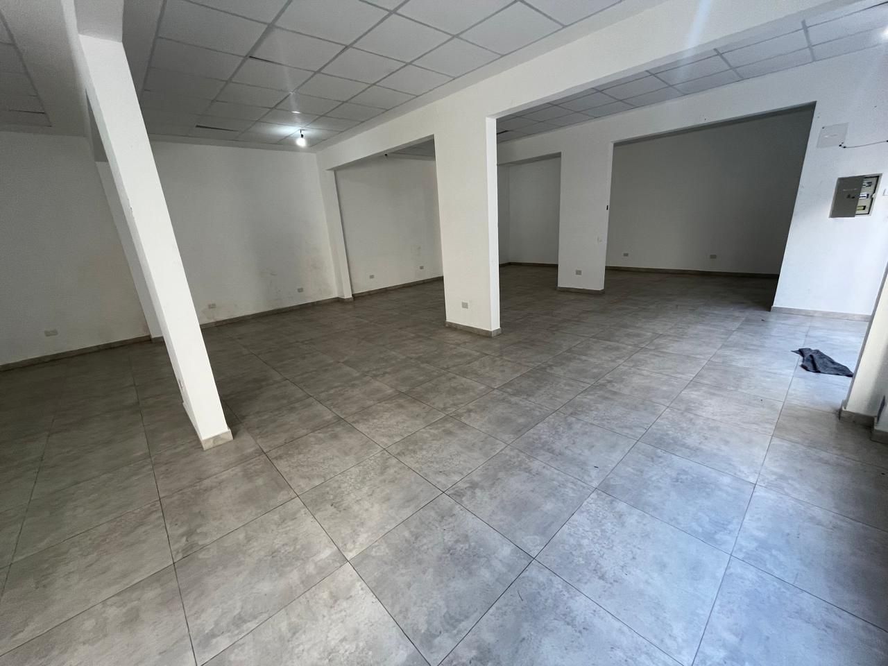 Imagen 8