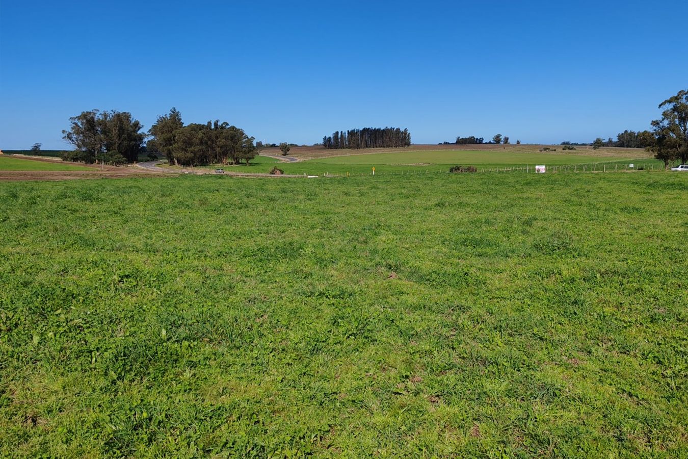 Campo EN VENTA