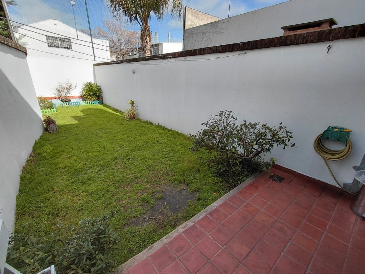 Imagen 12