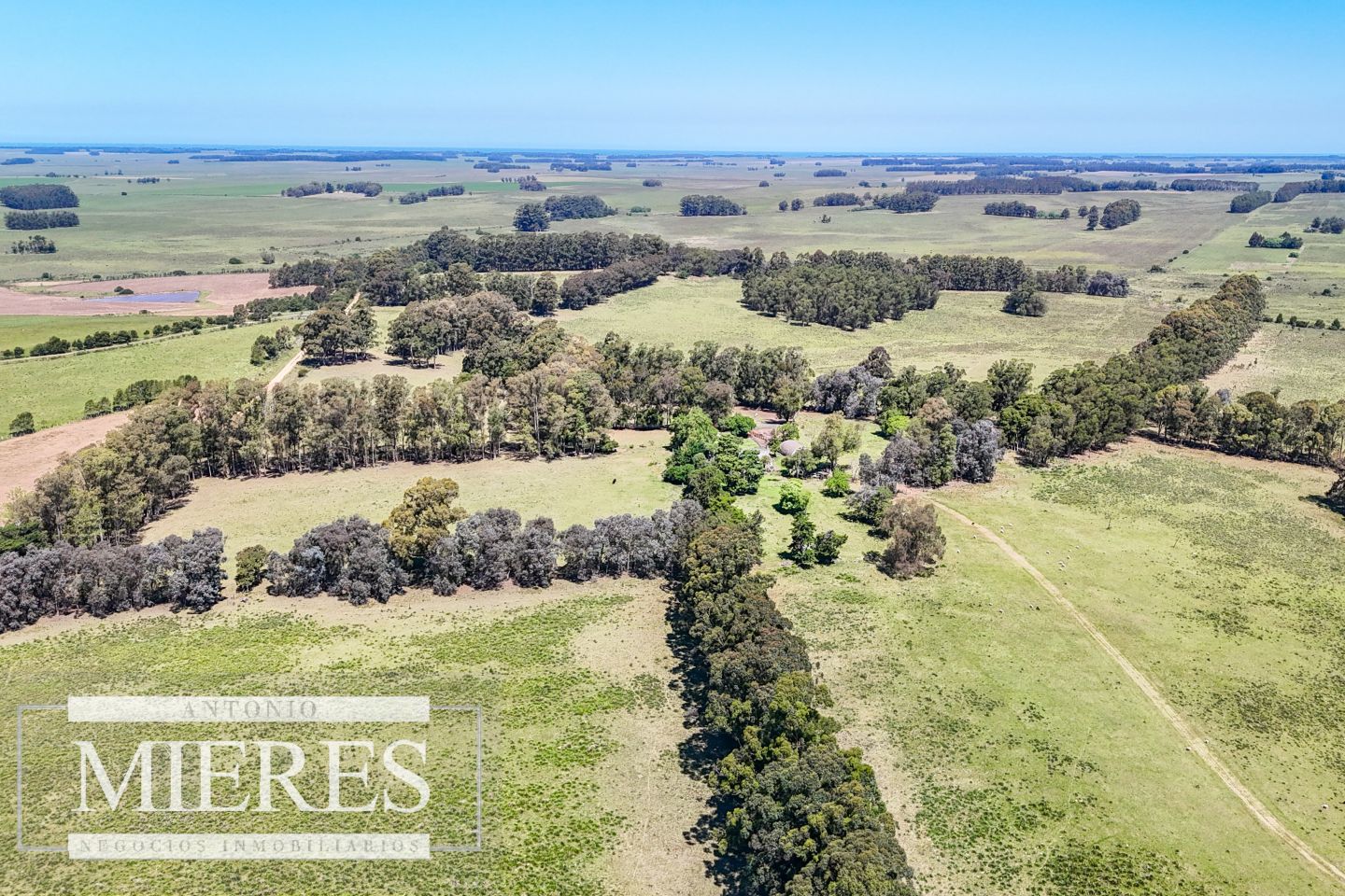 Campo EN VENTA