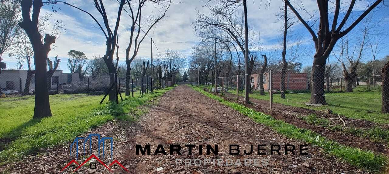 Imagen 14