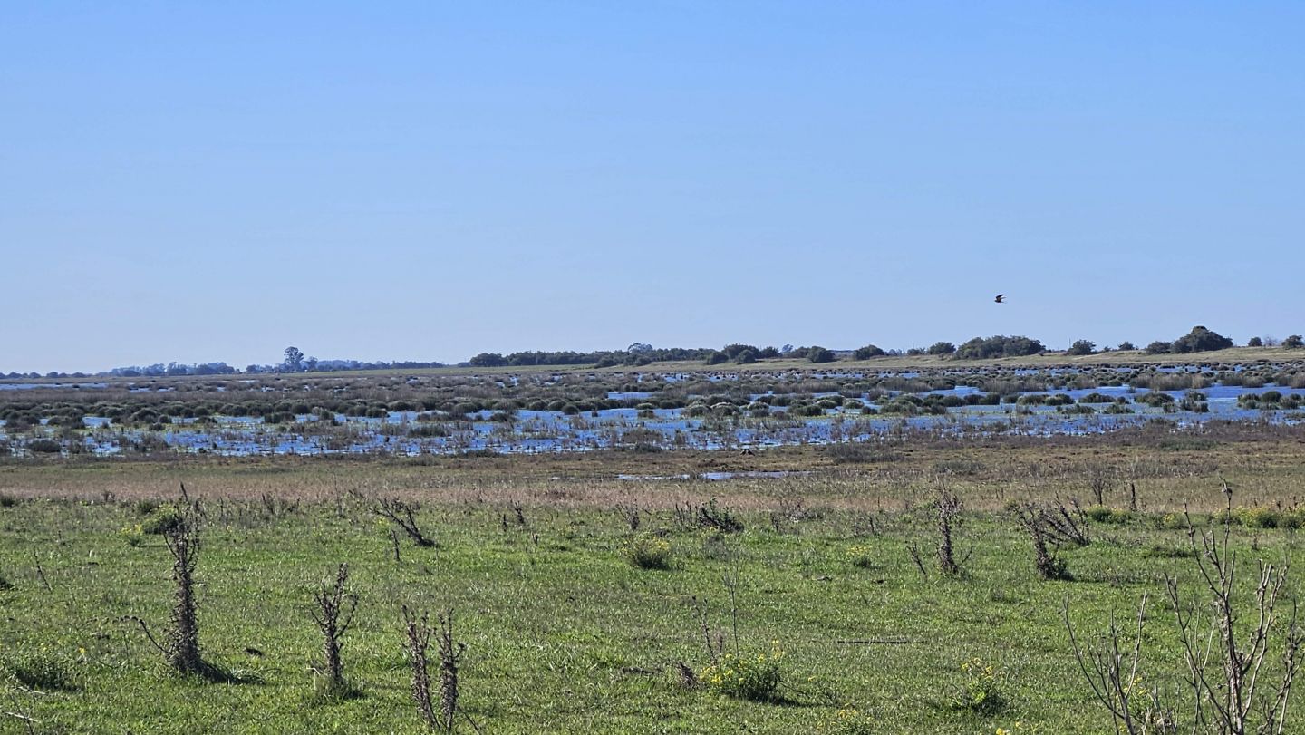 Campo EN VENTA