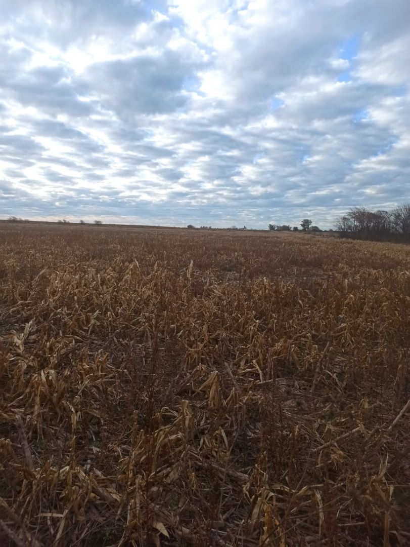 Campo EN VENTA