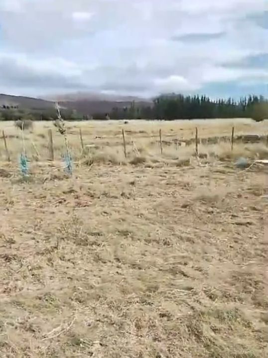 Campo EN VENTA