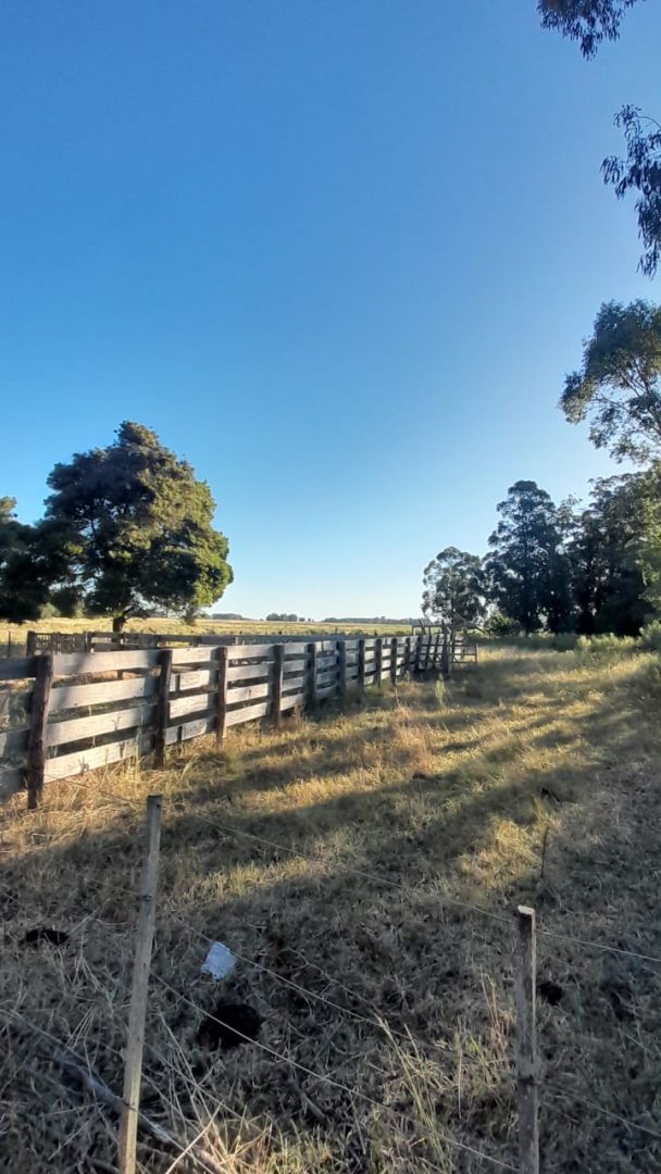 Campo EN VENTA