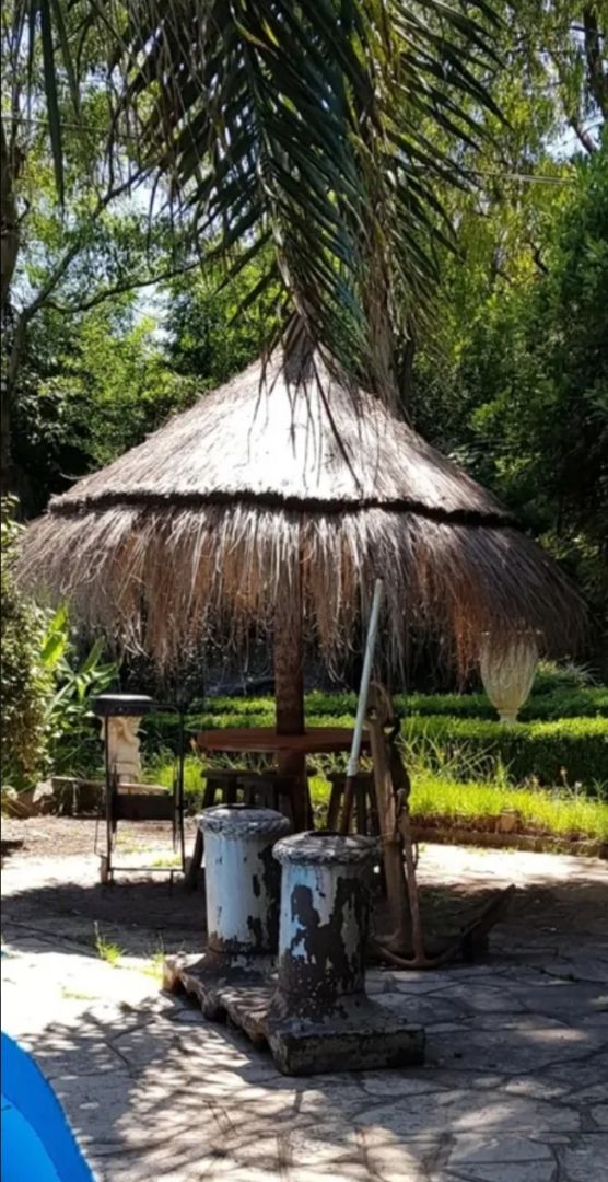 Imagen 4