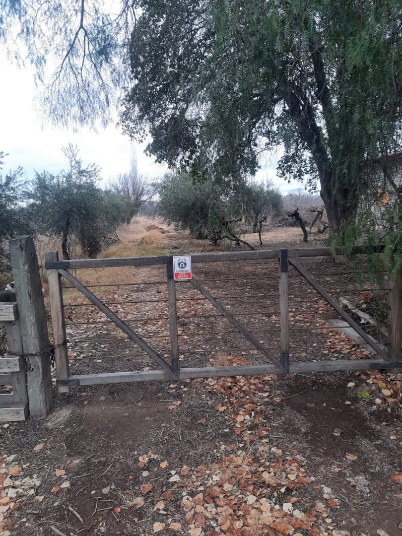 Campo en Venta en Junin, Buenos Aires Interior