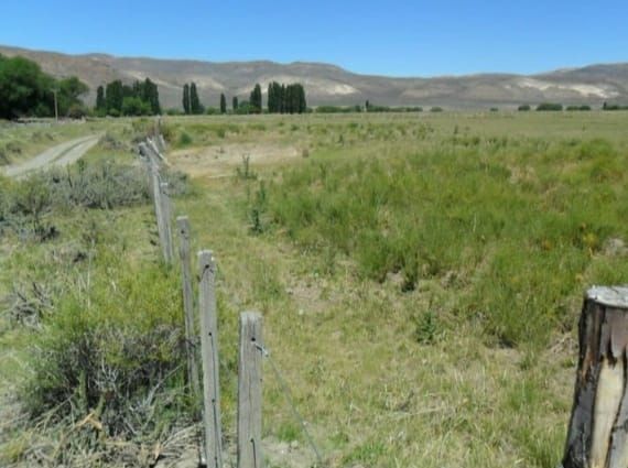 Campo EN VENTA