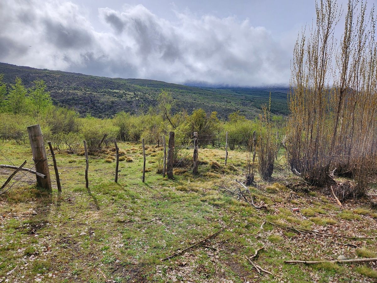 Campo EN VENTA