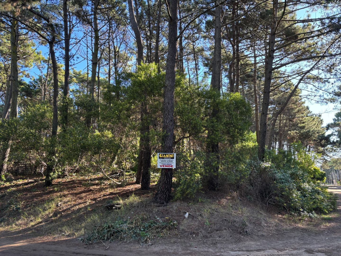 Lote EN VENTA