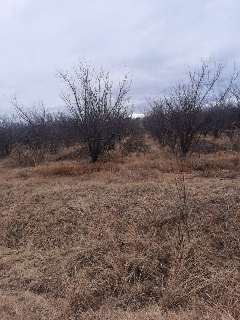 Campo en Venta en Junin, Buenos Aires Interior