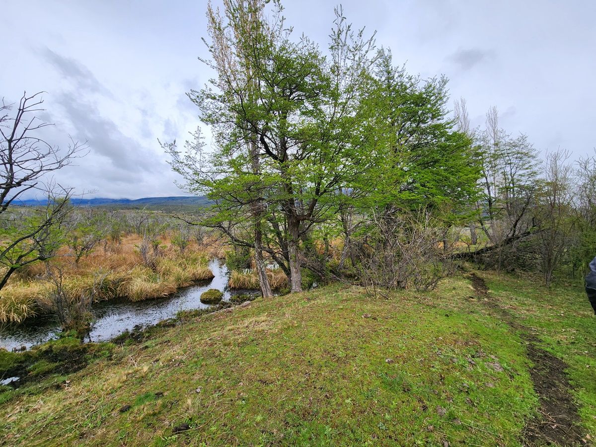 Campo EN VENTA
