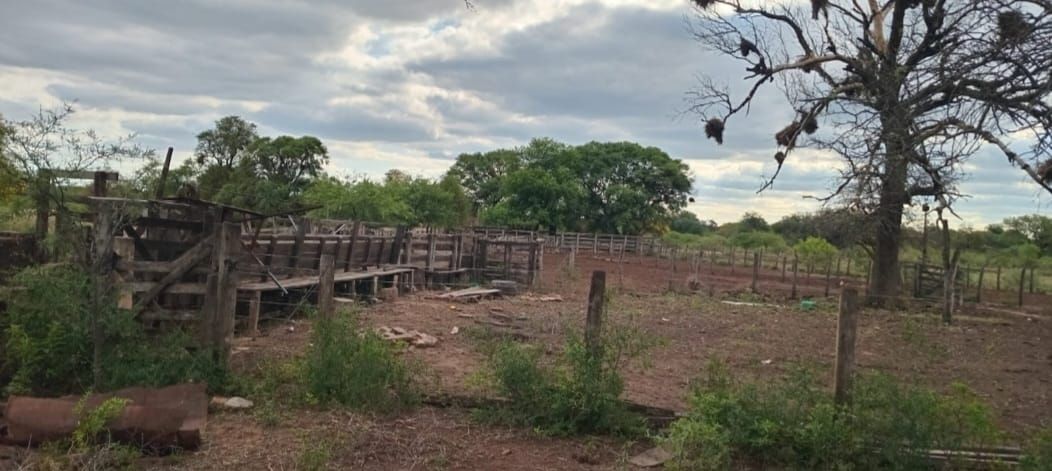 Campo EN VENTA