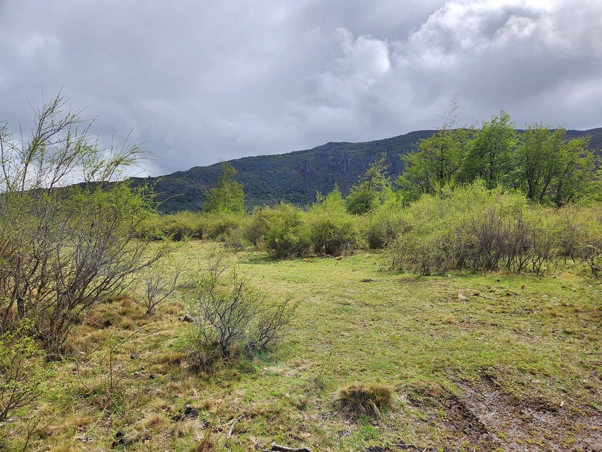 Campo EN VENTA