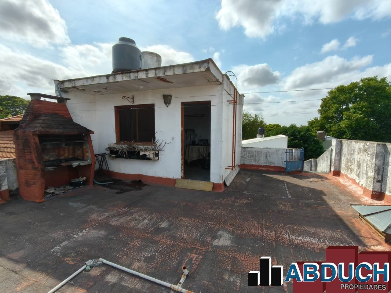 Imagen 20