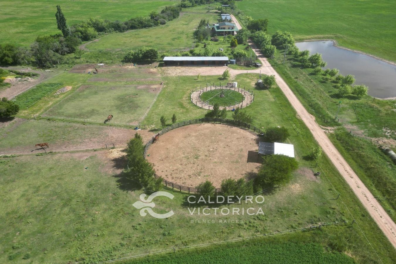 Campo EN VENTA