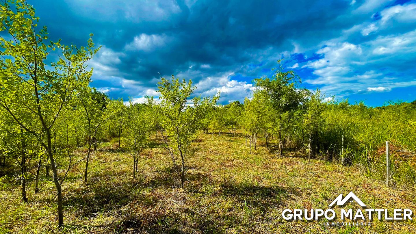 Lote EN VENTA