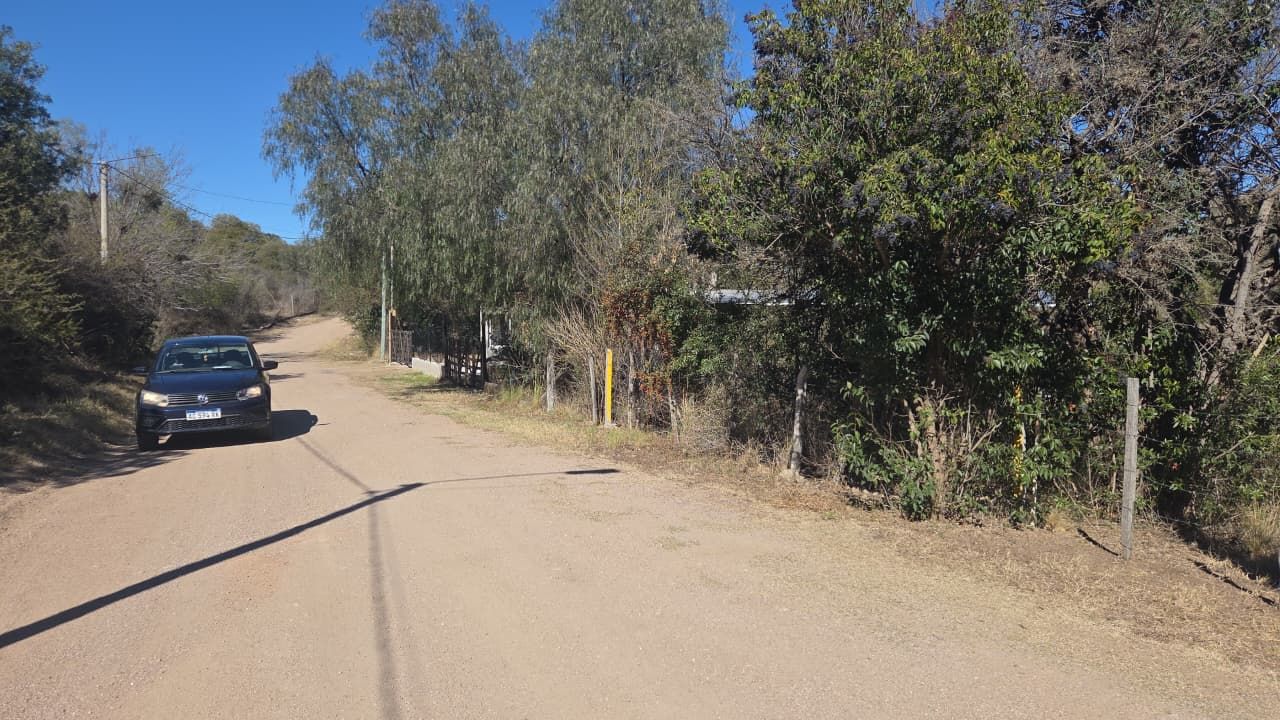 Imagen 6