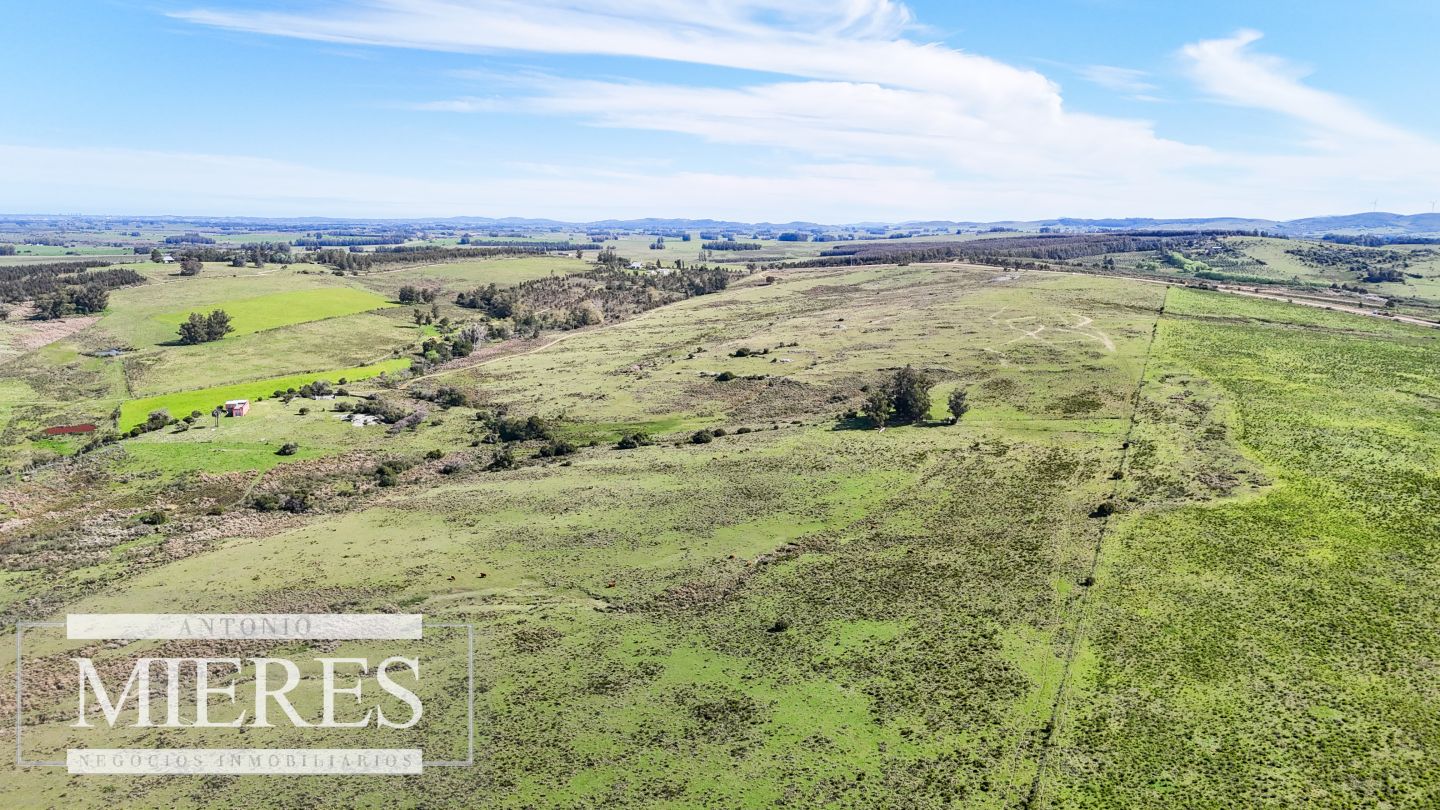 Campo EN VENTA