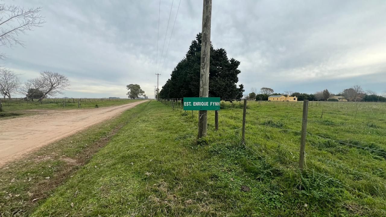 Campo en Enrique Fynn