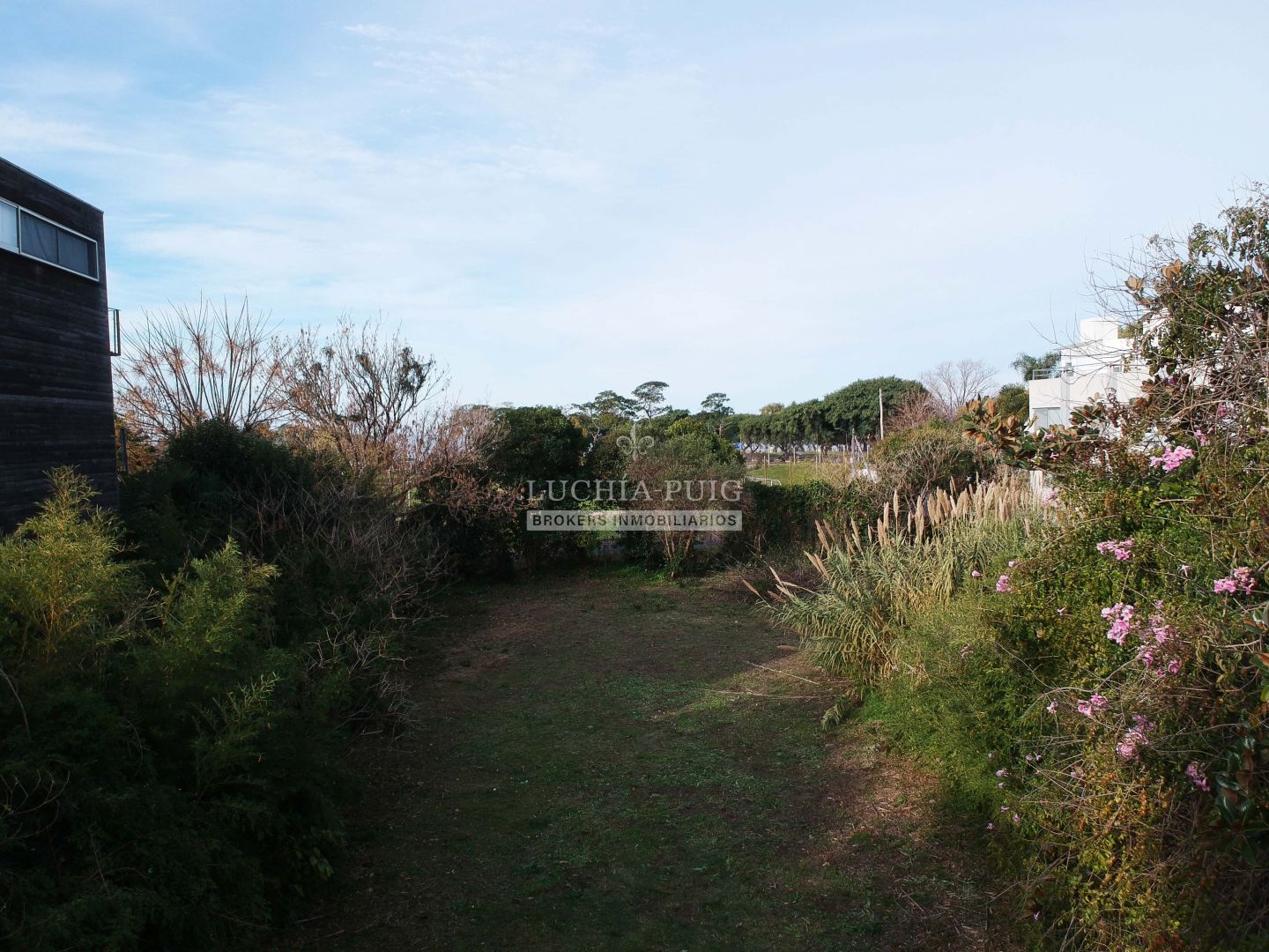 Luchia - Puig Brokers Inmobiliarios, Venta de Lote en Olivos   Vicente López Foto2 