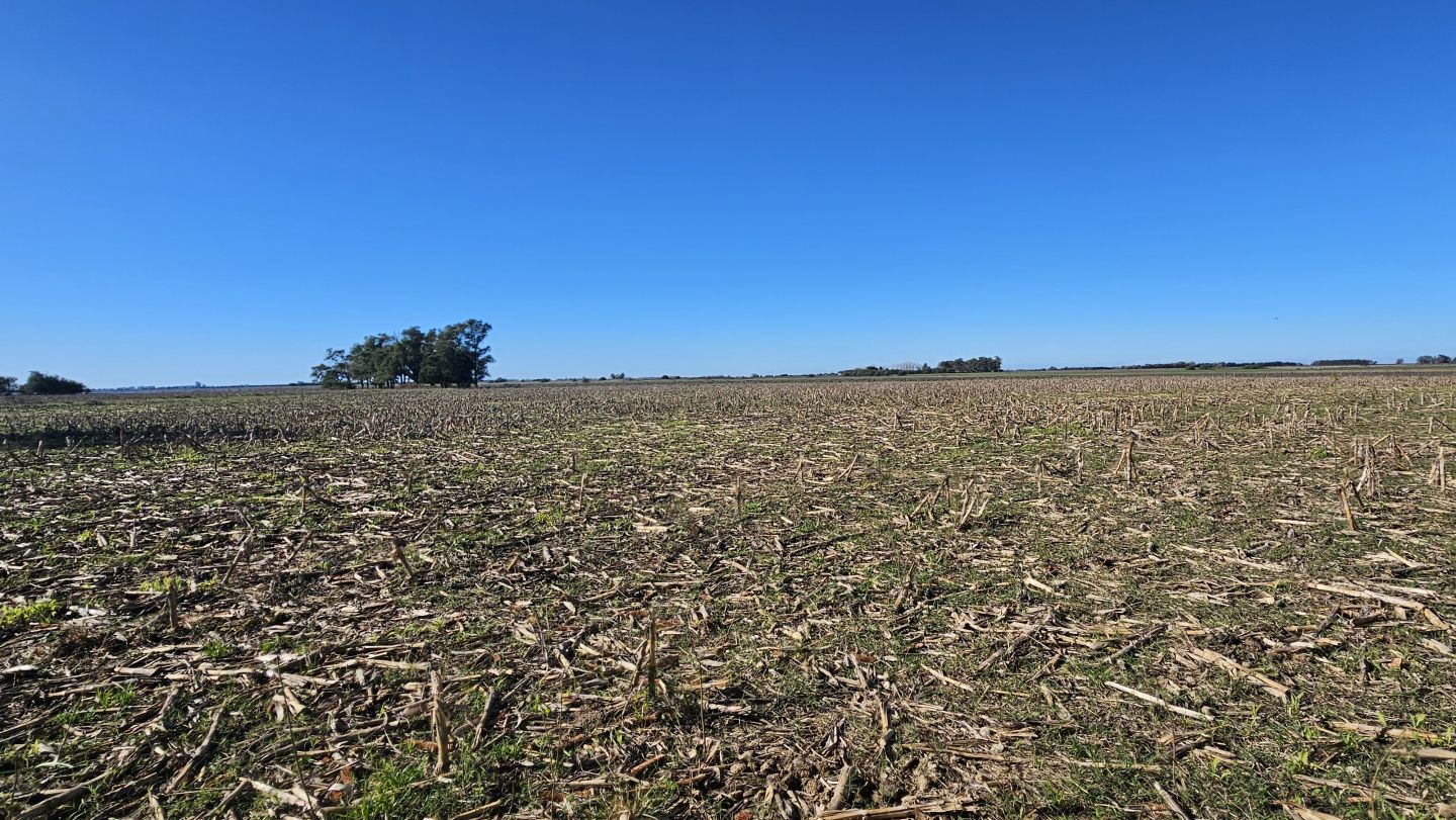 Campo EN VENTA