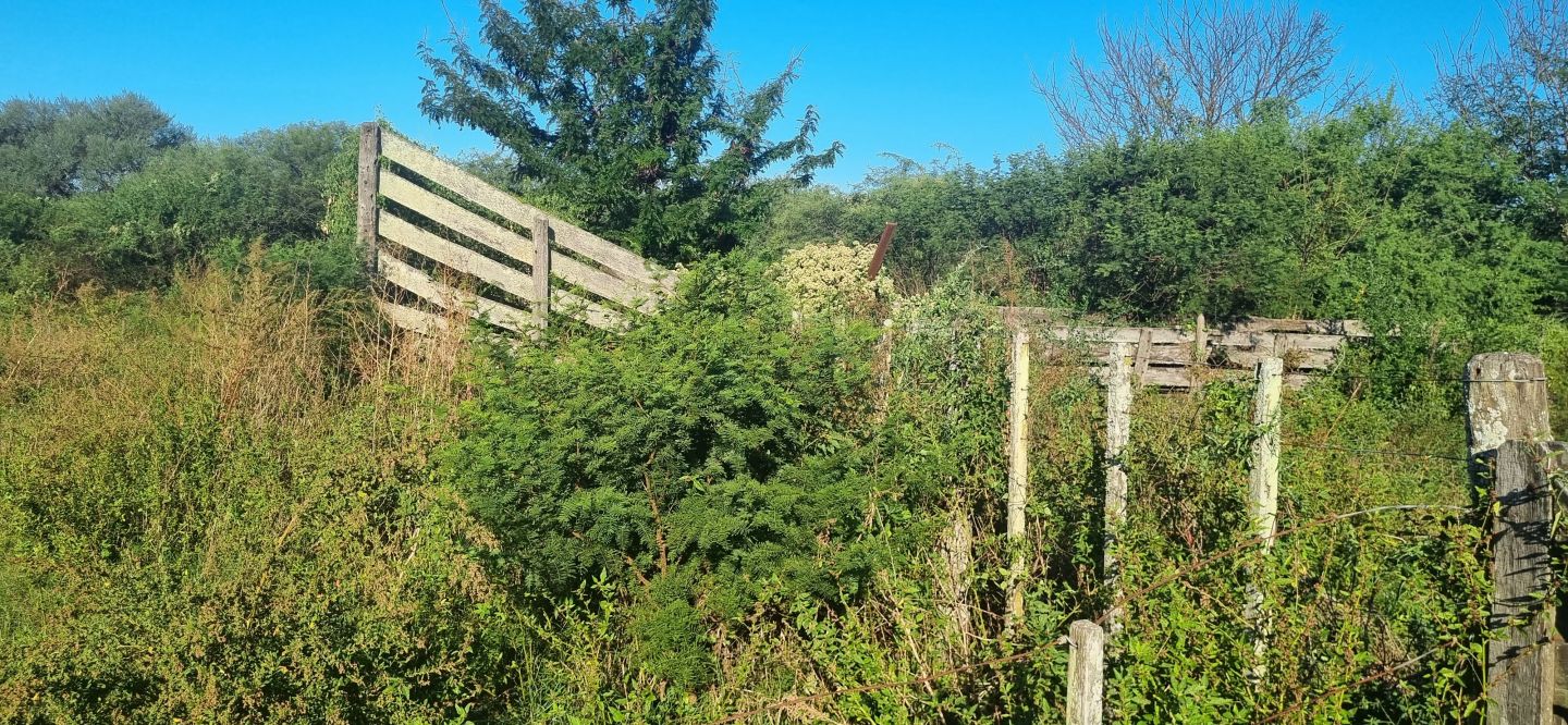 Campo EN VENTA