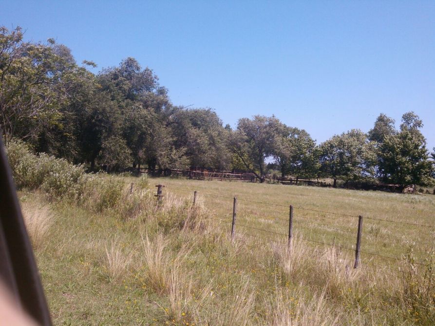 Lote en Venta en Alte. Brown, G.B.A. Zona Sur