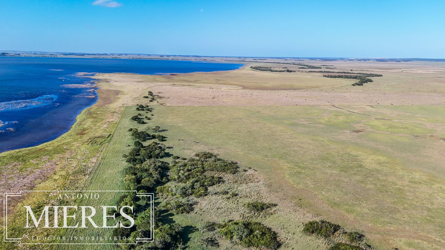 Campo EN VENTA