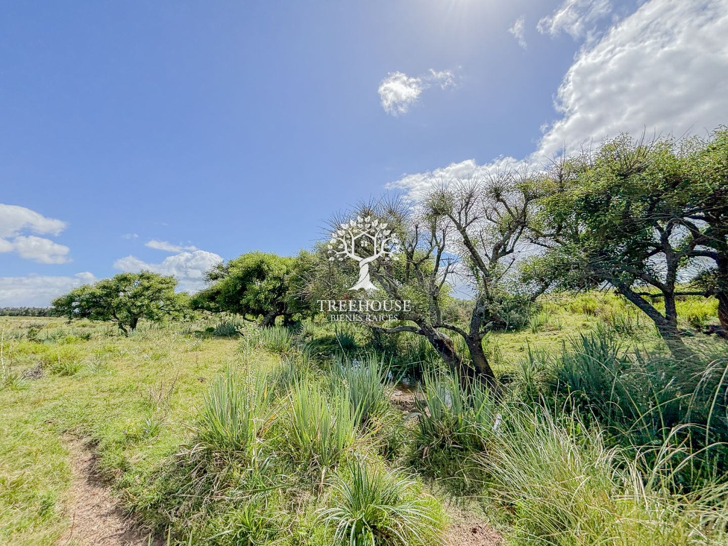 Campo EN VENTA