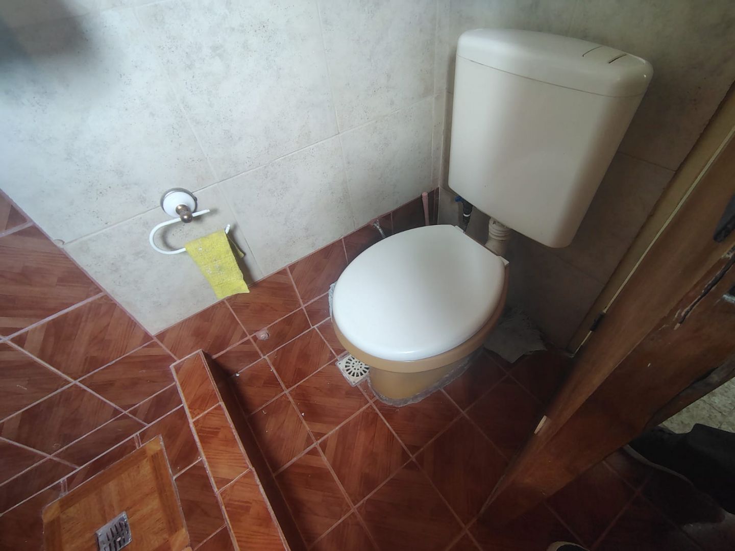 Imagen 14