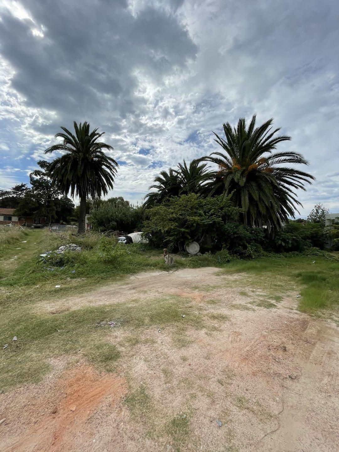 Lote EN VENTA