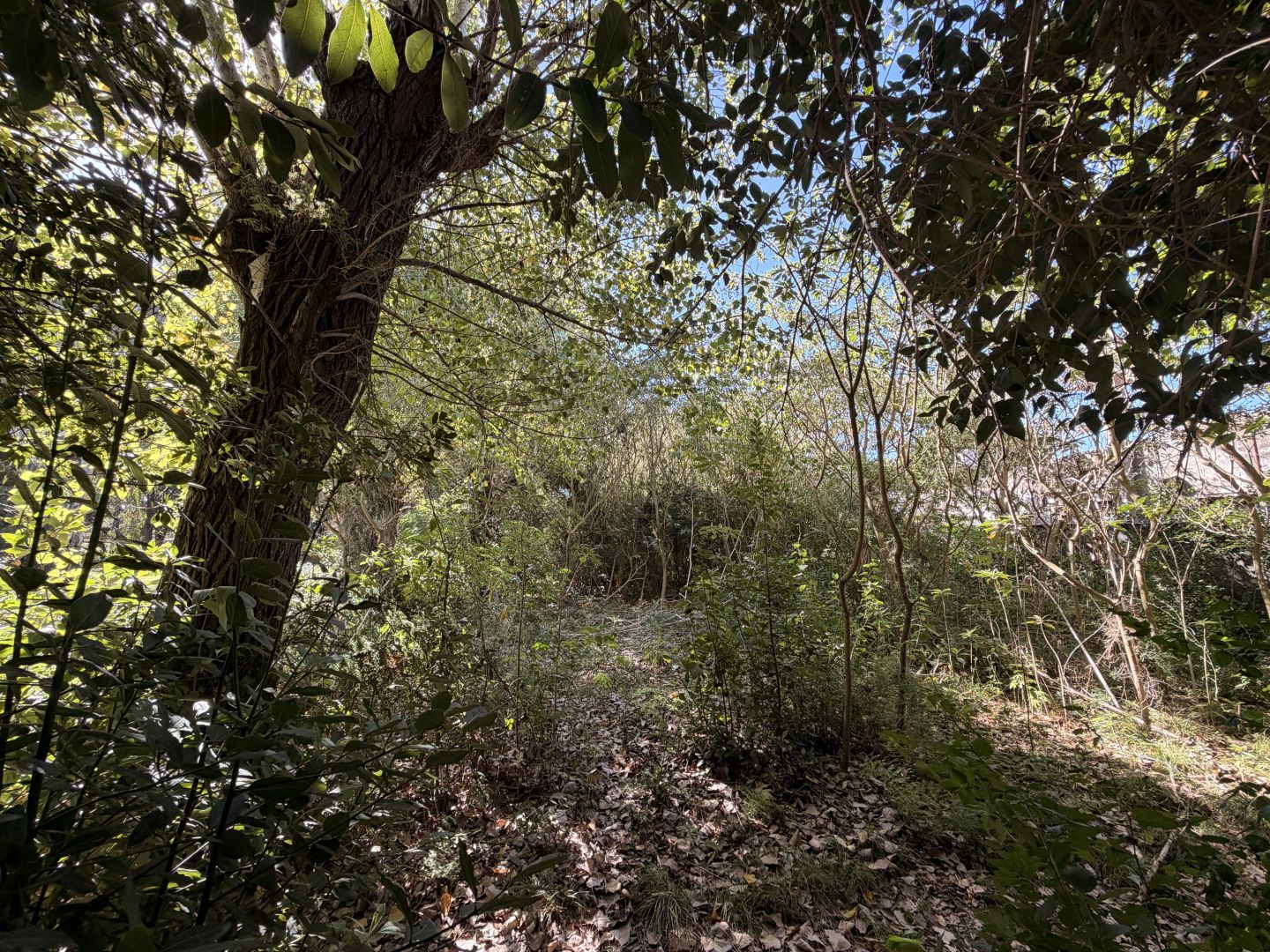 Lote EN VENTA