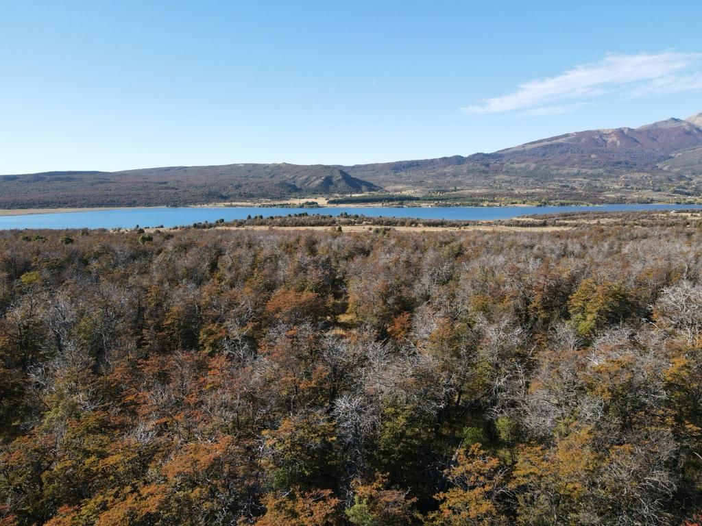 Campo EN VENTA