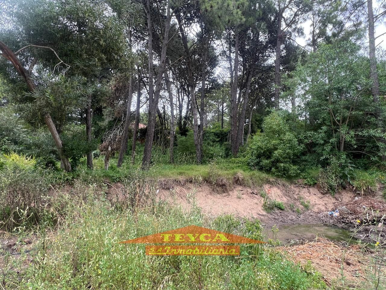 Lote en venta B5 0 ambientes