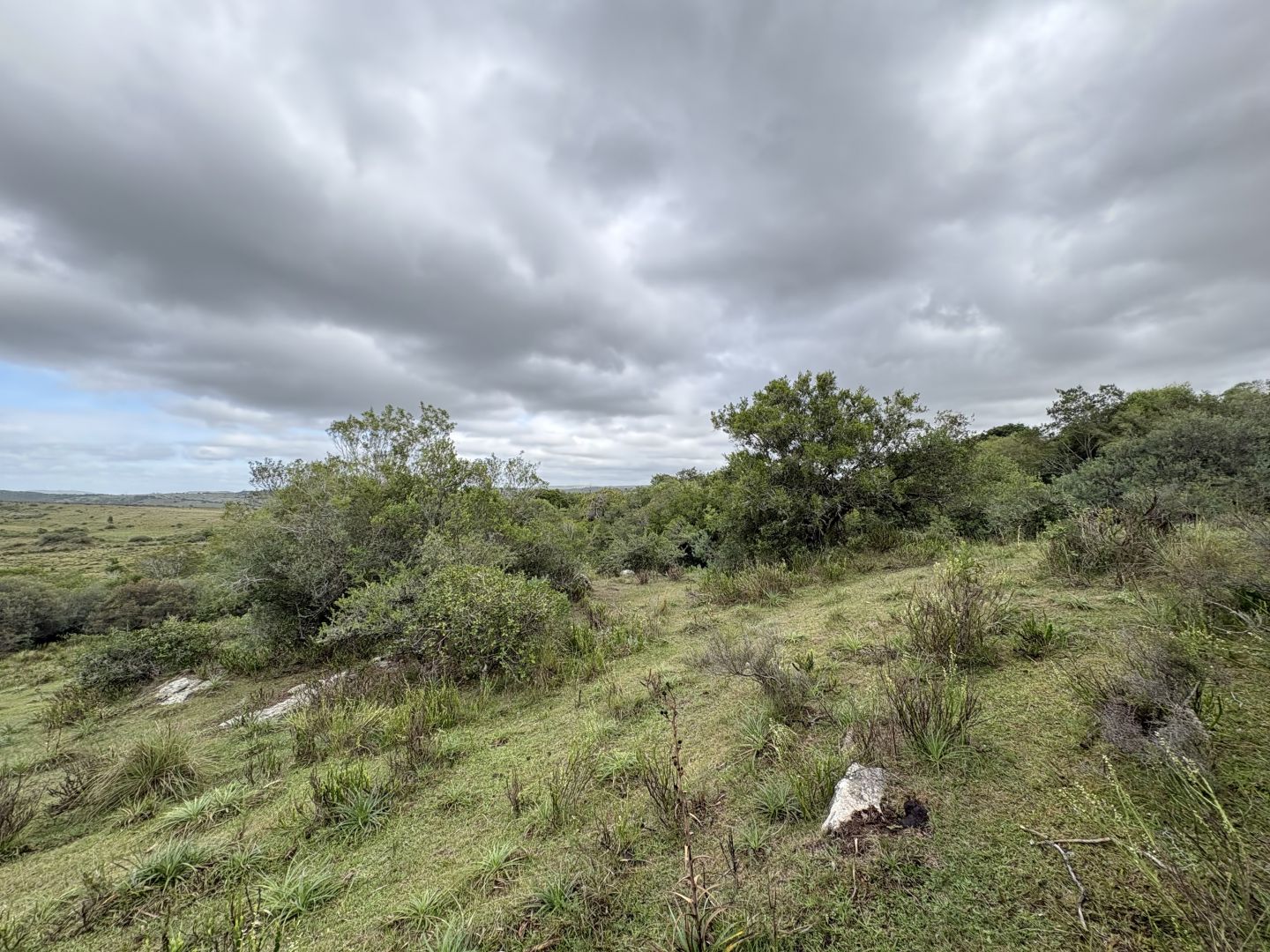 Quinta EN VENTA