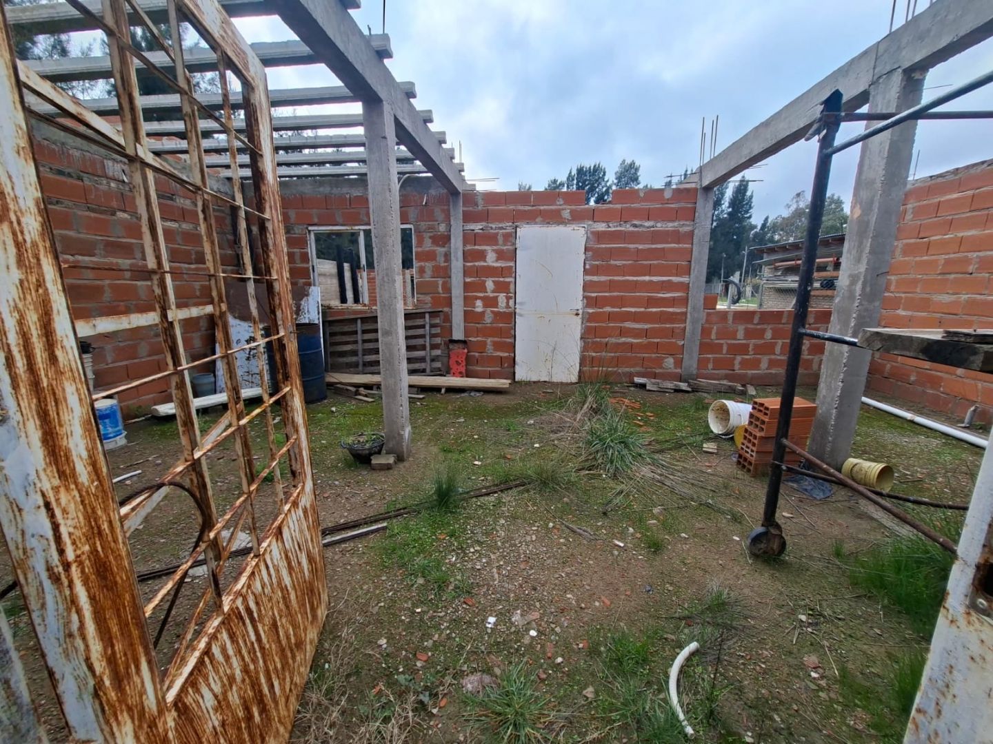 Imagen 5