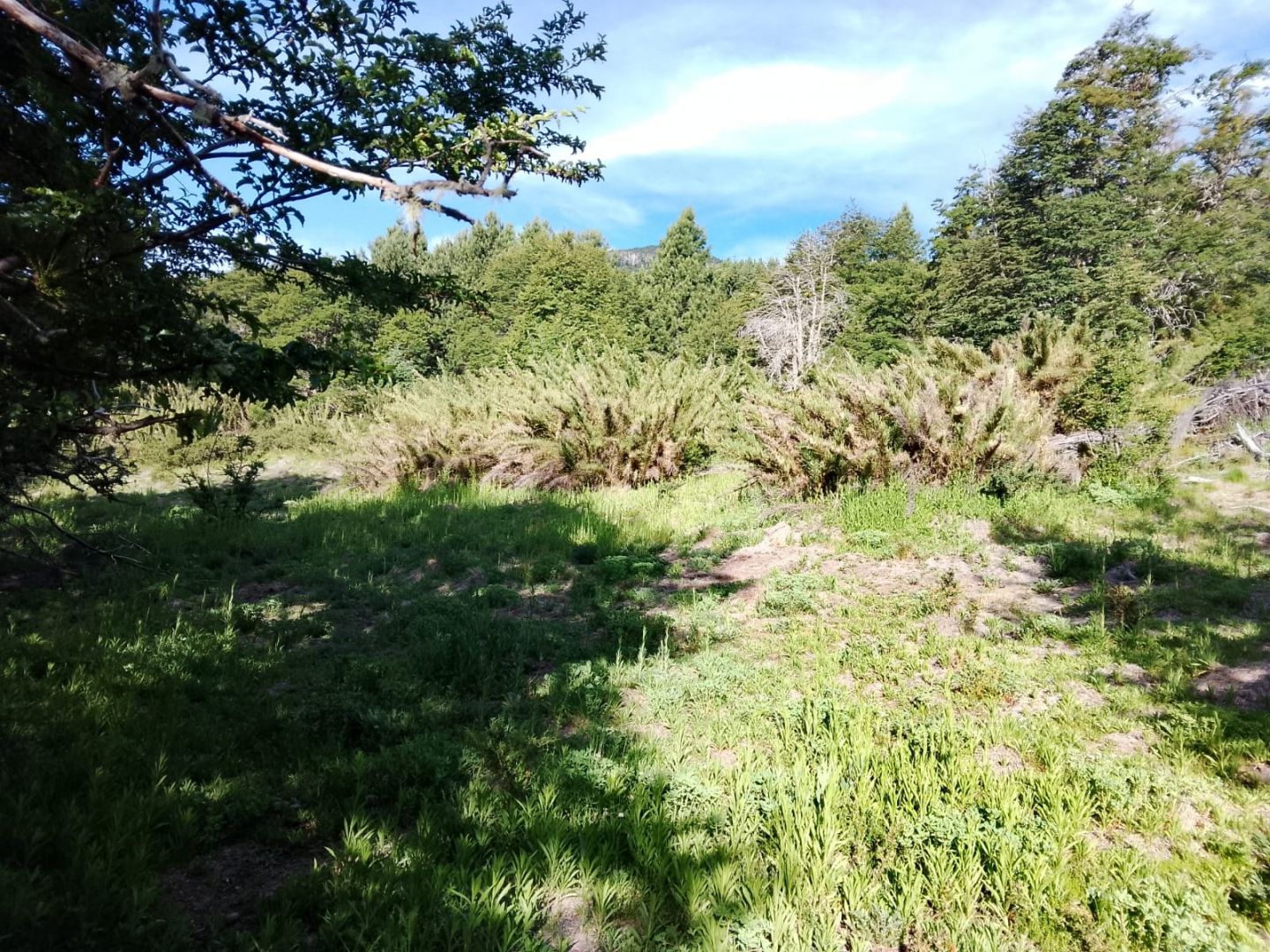 Lote en Venta en San Martin de los Andes, Neuquen