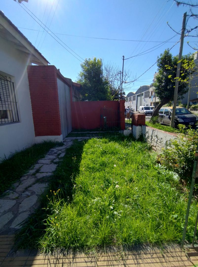 Imagen 6